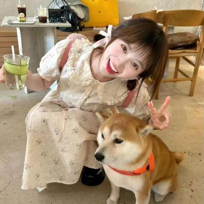 玛丽苏遇上杰克苏